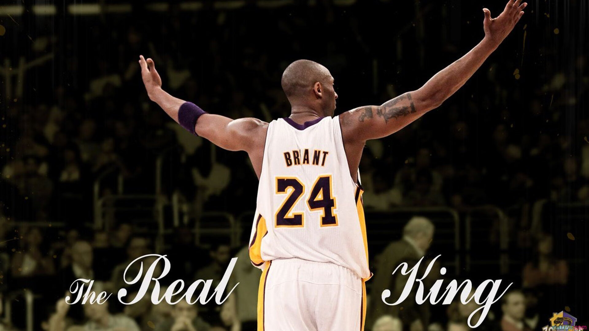 唯一性之战，罗马意志粉碎挪威童话，阿劳霍于世界排名争夺中接管比赛